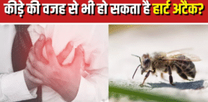 Screenshot-2025-06-17-135209