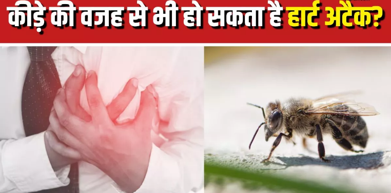 Screenshot-2025-06-17-135209