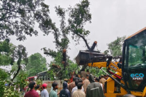 truck011-27-1754639382-742940-khaskhabar